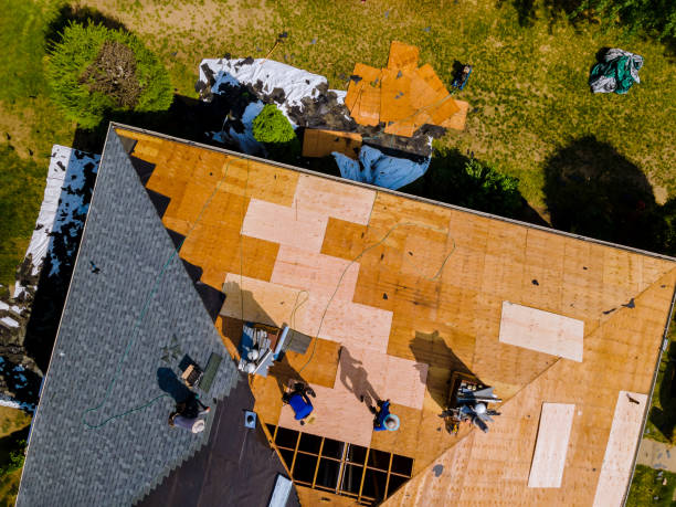 Best Roof Maintenance Services  in Cutler, CA